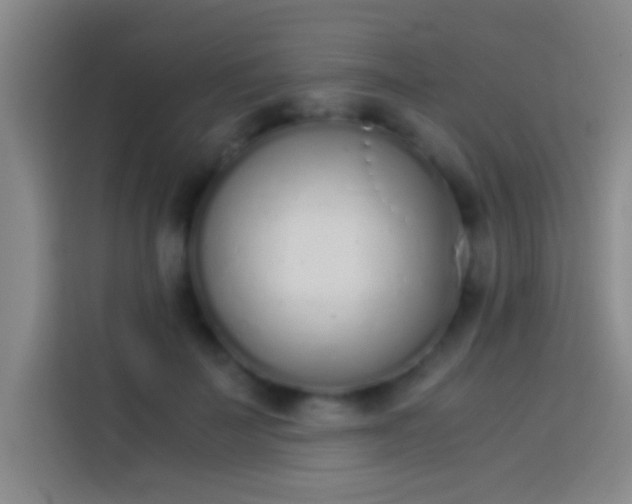 X0000113910699200910011449