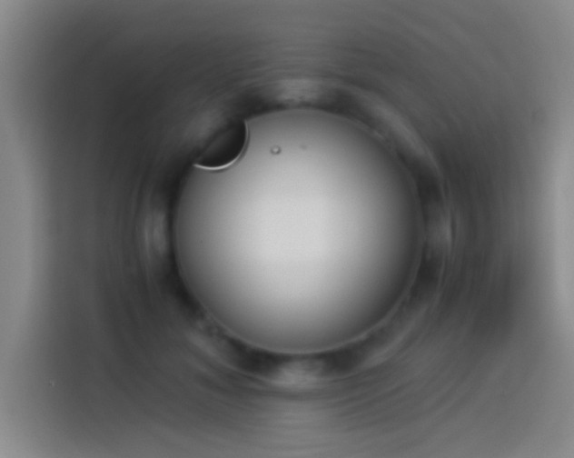 X0000113910700200910011449