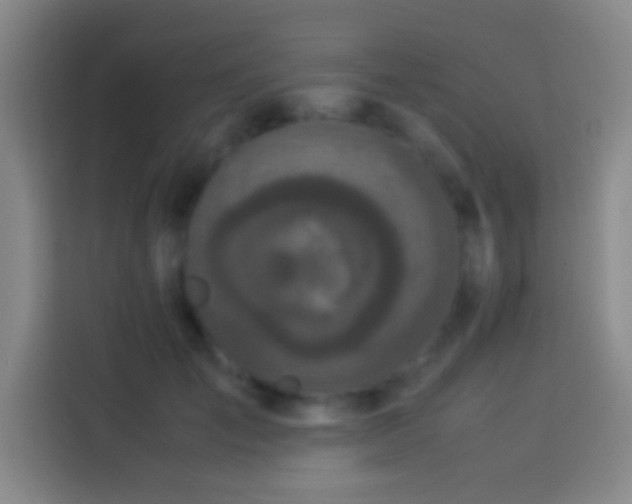 X0000113910701200910011449