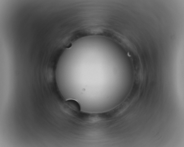 X0000113910704200910011449