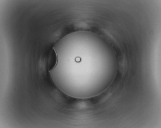 X0000113910708200910011449