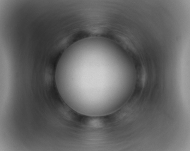 X0000113910710200910011449