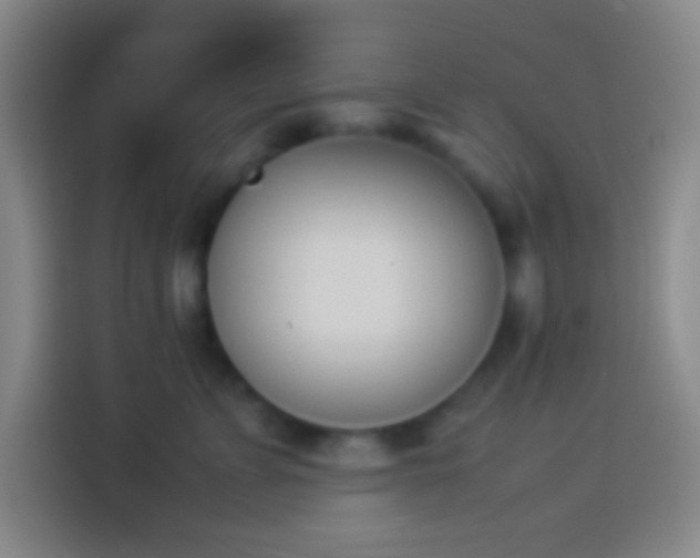 X0000113910715200910011449