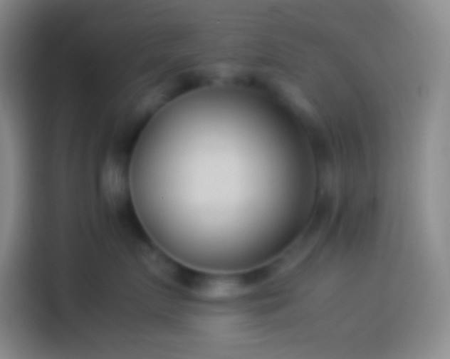 X0000113910719200910011449