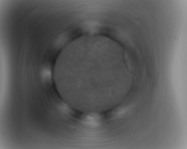 X0000113910720200910011449