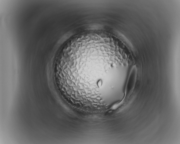 X0000113910721200910011448