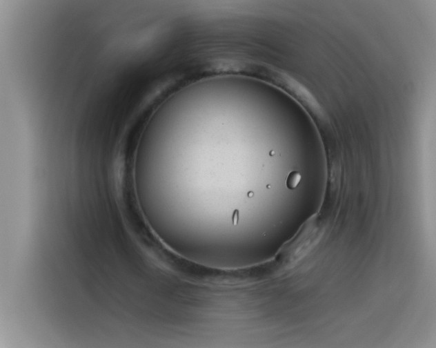 X0000113910722200910011448