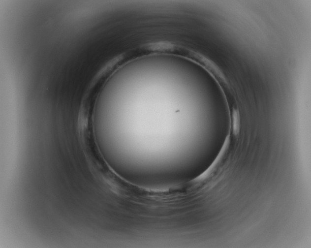 X0000113910723200910011448