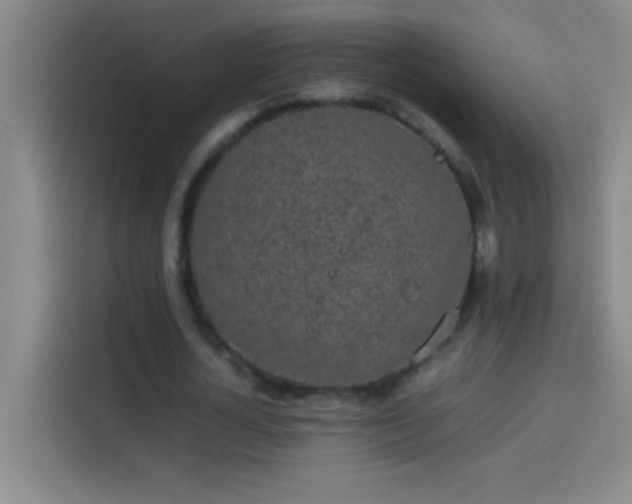 X0000113910724200910011448