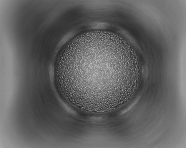 X0000113910725200910011448