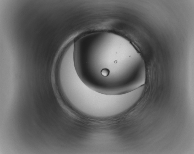 X0000113910726200910011448