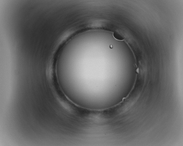 X0000113910728200910011448