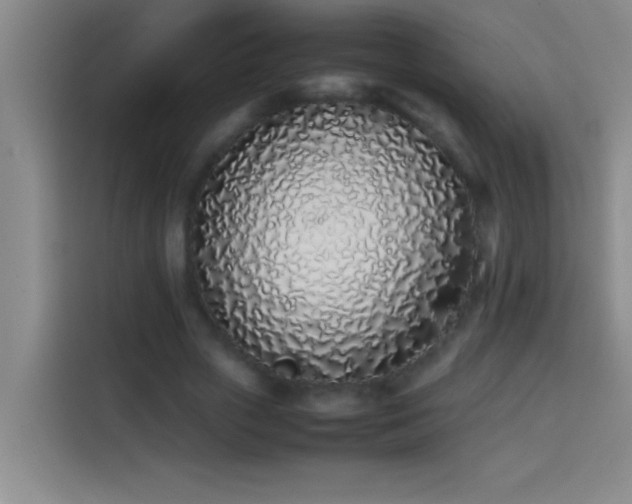 X0000113910729200910011448