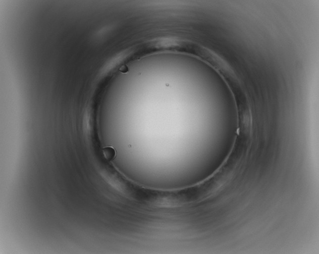 X0000113910732200910011448