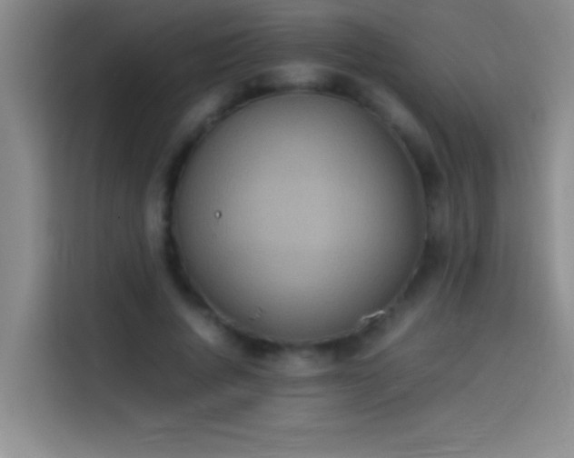 X0000113910736200910011448