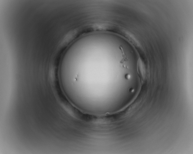 X0000113910738200910011448