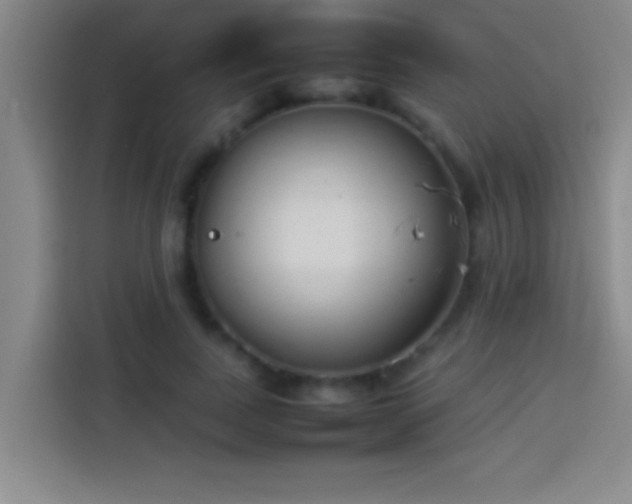 X0000113910739200910011448