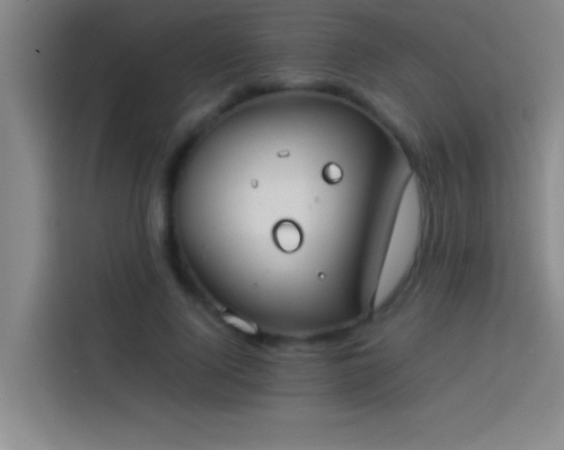 X0000113910740200910011448