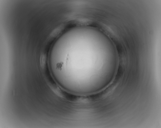 X0000113910742200910011448