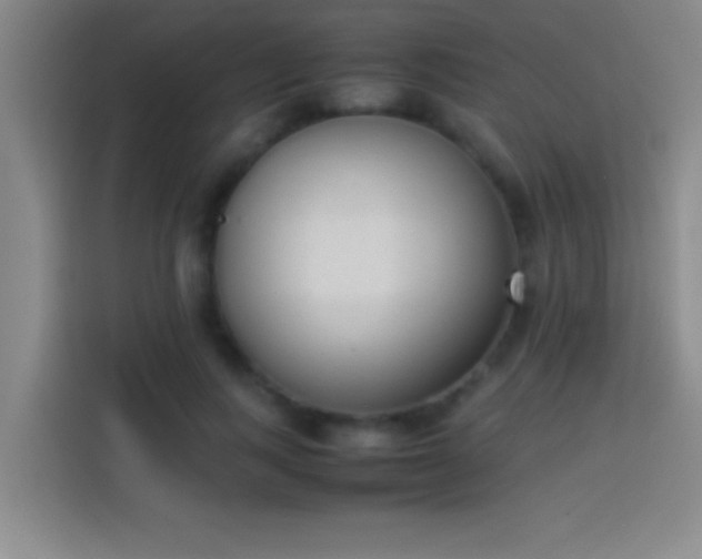 X0000113910743200910011448