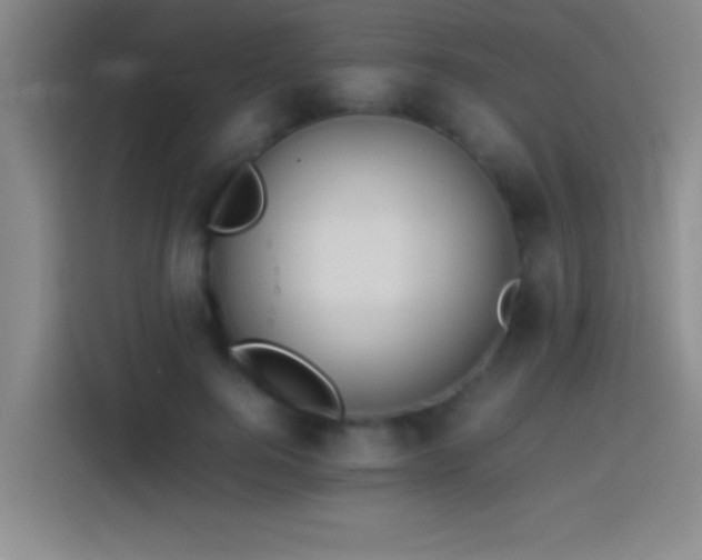 X0000113910744200910011448