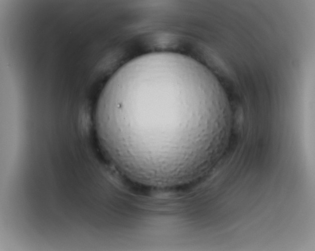 X0000113910746200910011448