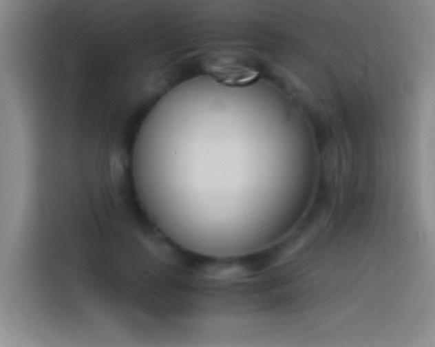 X0000113910747200910011448