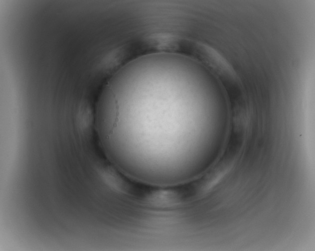 X0000113910748200910011448