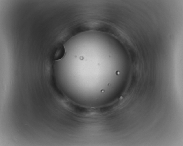 X0000113910750200910011448