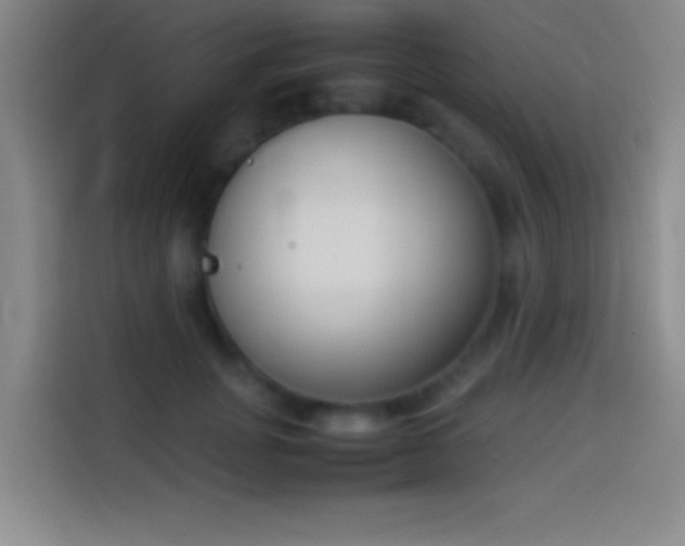 X0000113910751200910011448