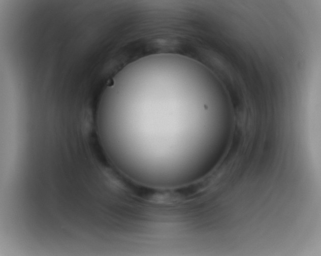 X0000113910752200910011448