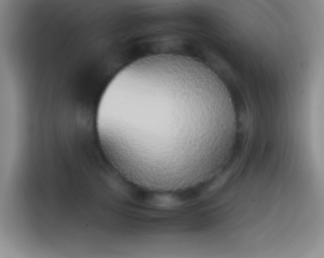 X0000113910753200910011448