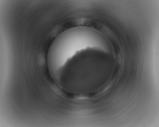 X0000113910754200910011448