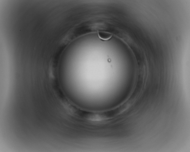 X0000113910755200910011448