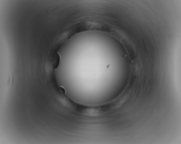 X0000113910756200910011448