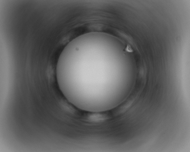 X0000113910759200910011448