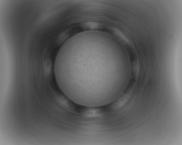 X0000113910760200910011448