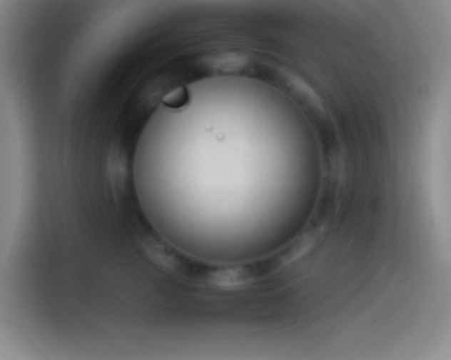 X0000113910761200910011448