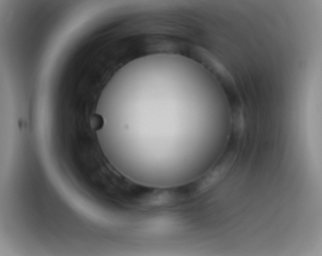 X0000113910764200910011449