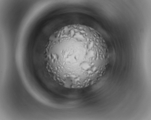 X0000113910765200910011449