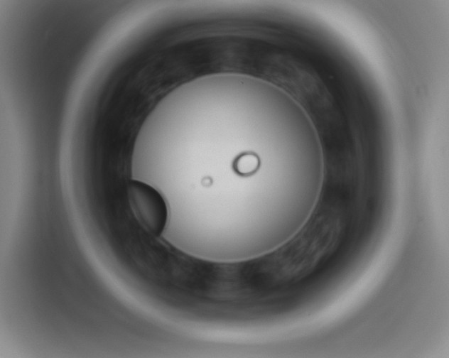 X0000113910766200910011449