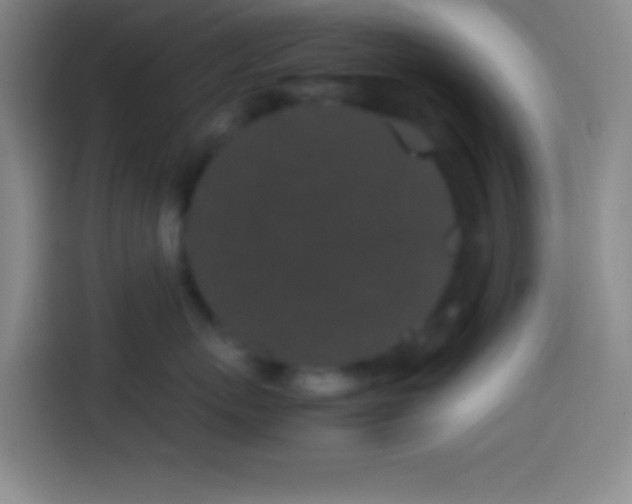 X0000113910767200910011449