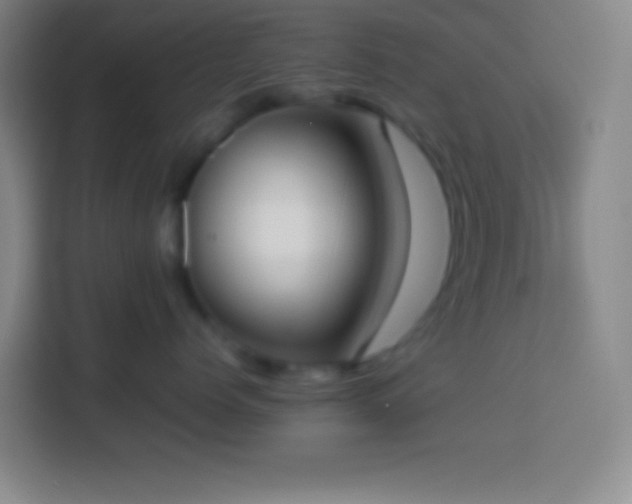 X0000113910768200910011449