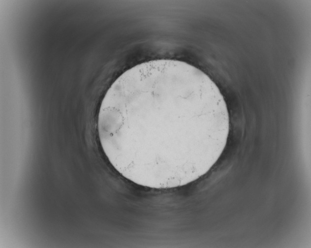 X0000113910769200910011448