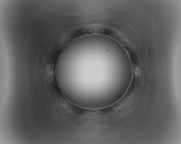 X0000113910771200910011448