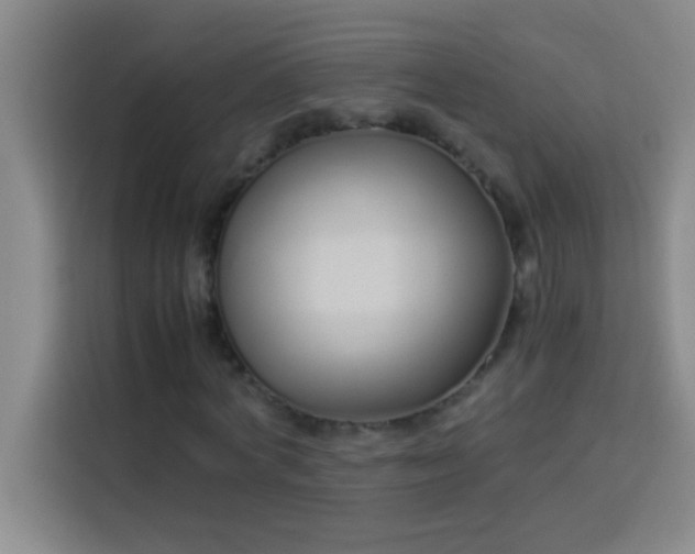 X0000113910772200910011448