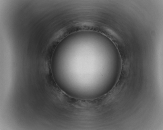 X0000113910774200910011448