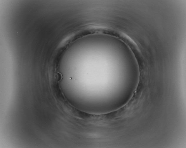 X0000113910775200910011448