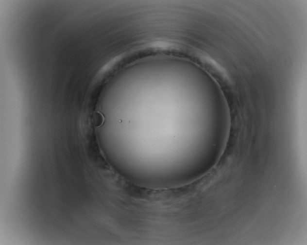 X0000113910776200910011448