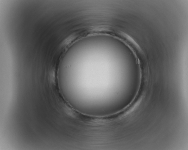 X0000113910777200910011448